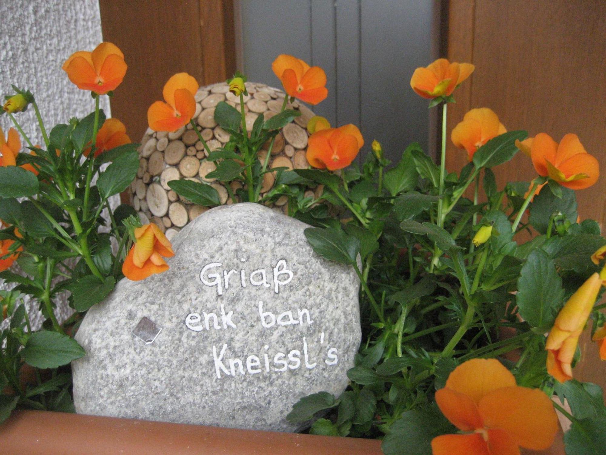 Ban Kneissl'S Daire Umhausen Dış mekan fotoğraf